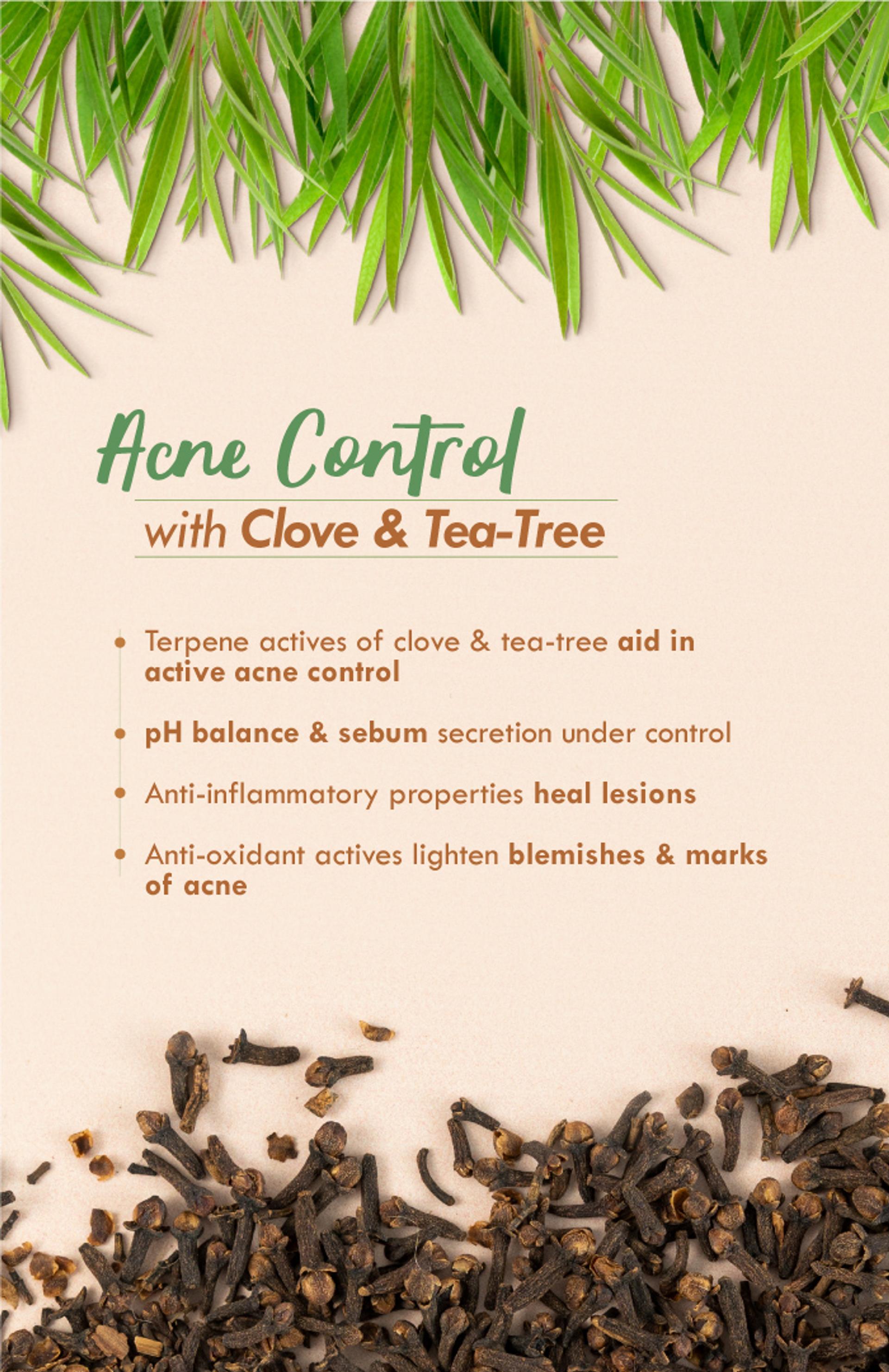 Clove-TeaTree-2