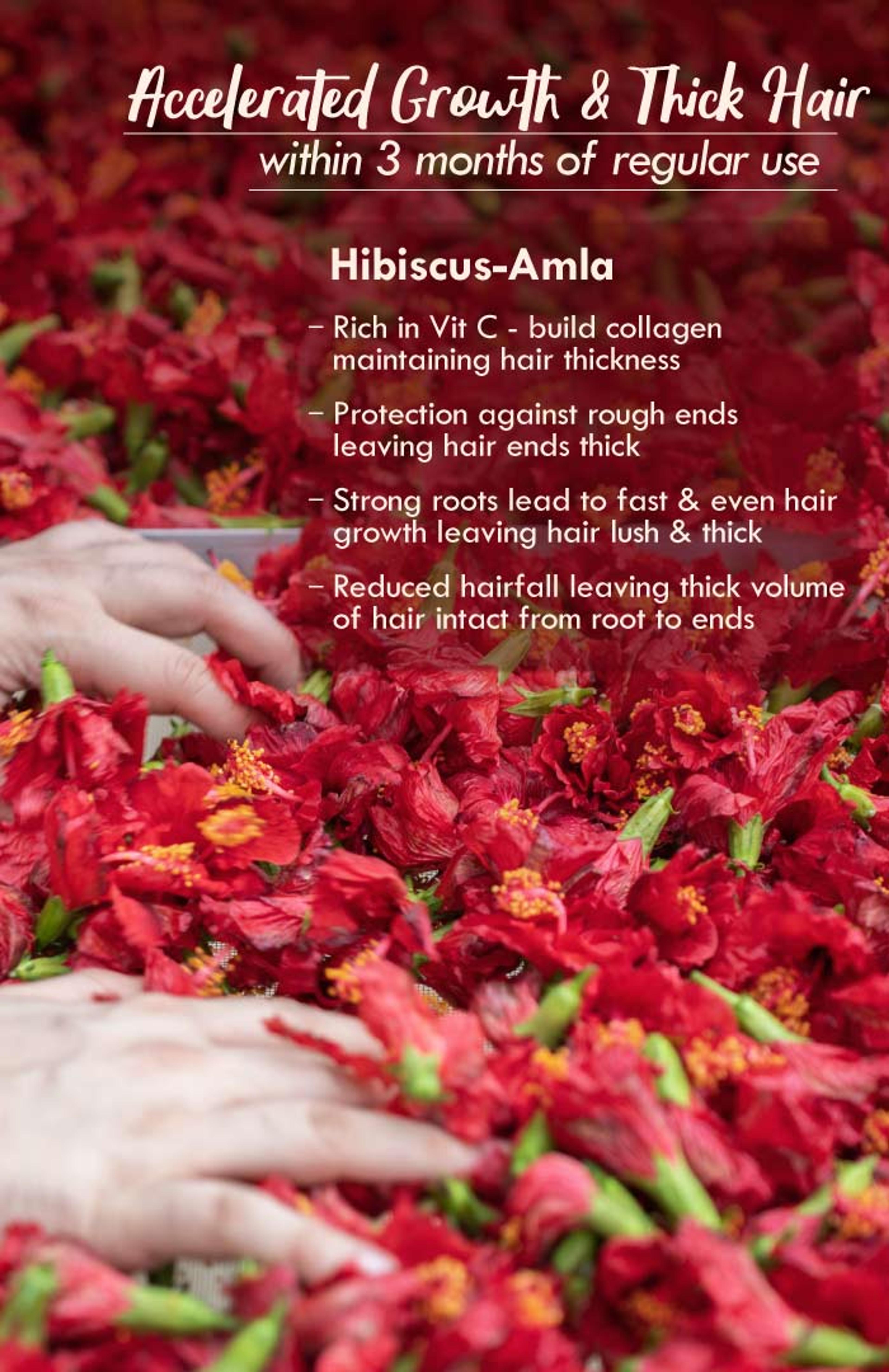 Hibiscus-Summer-hair-oil-4