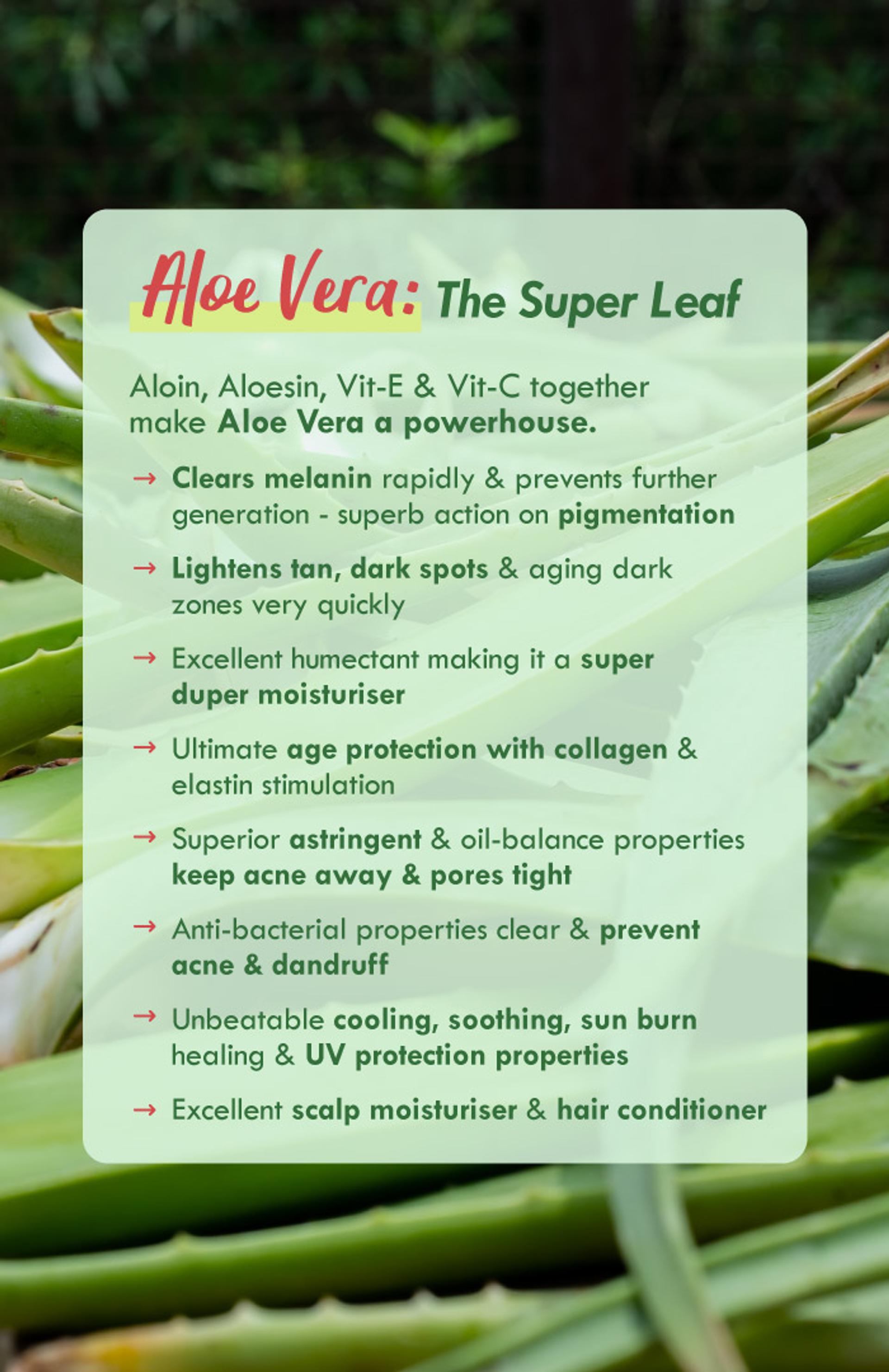 Pure-aloe-gel-3