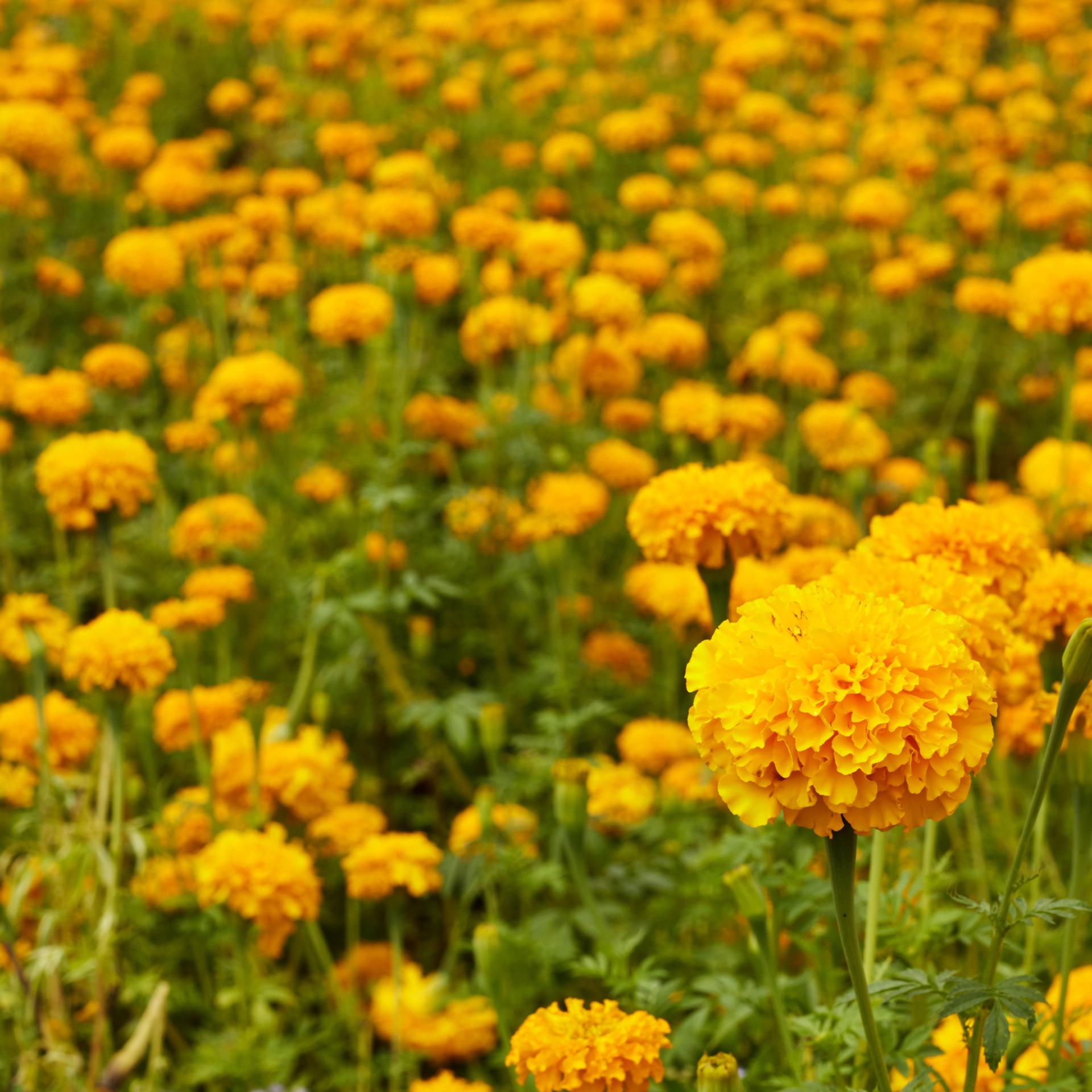 blog-content-image