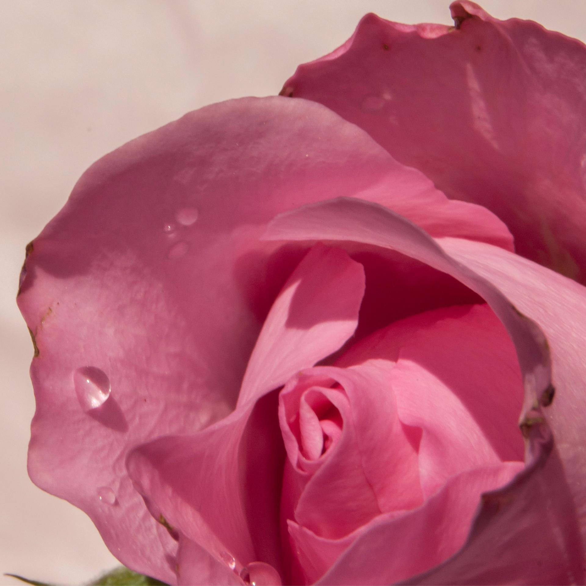 blog-content-image