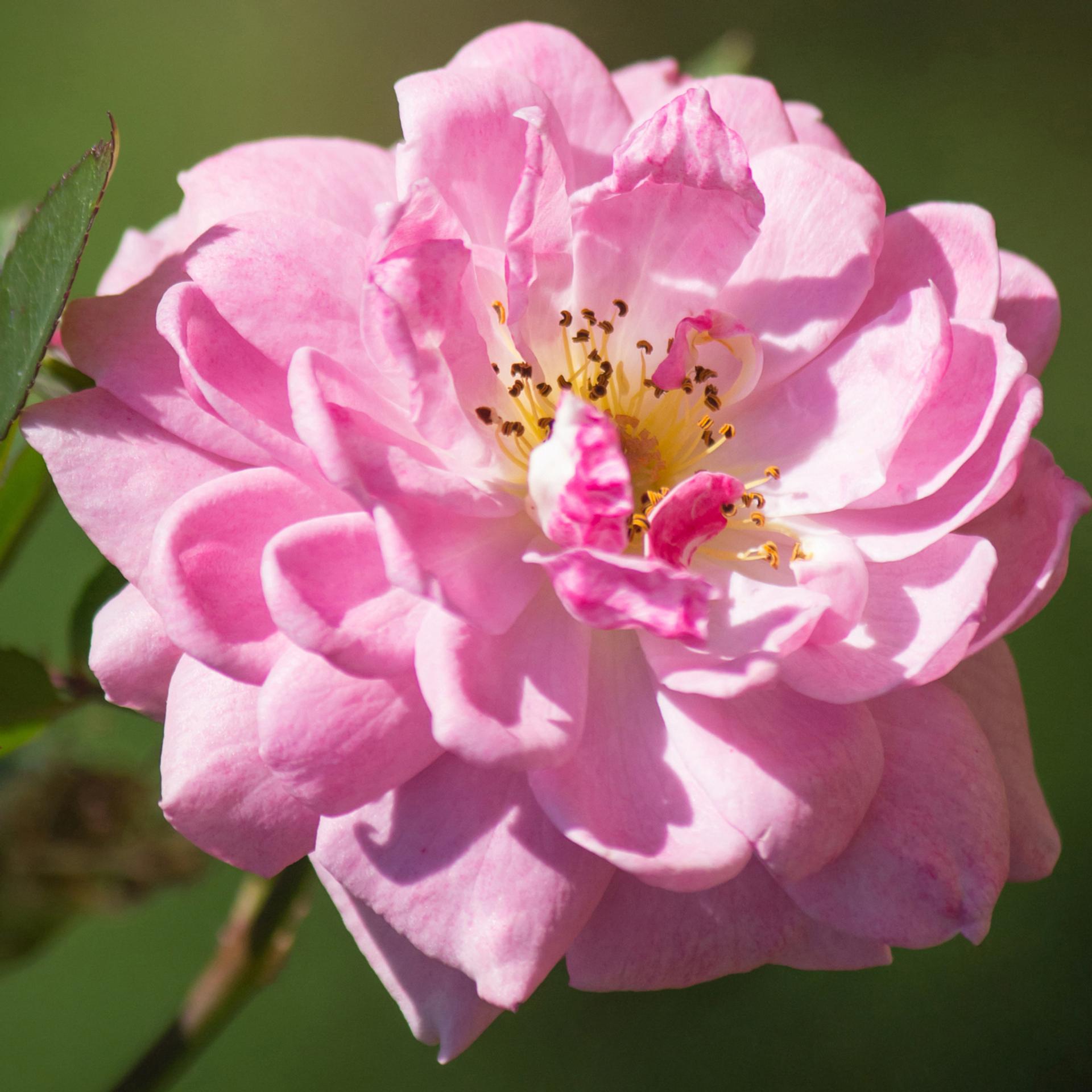 blog-content-image