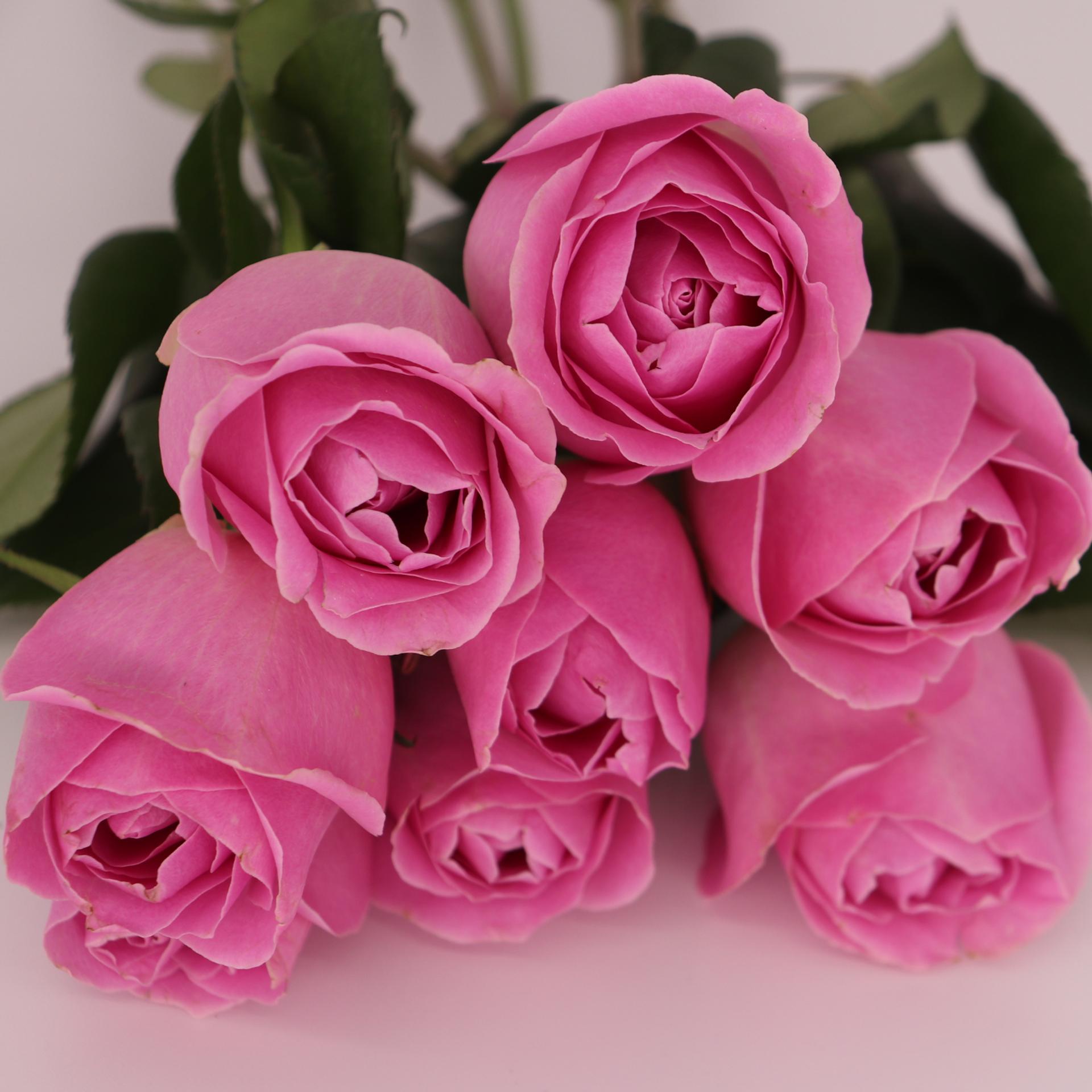 blog-content-image