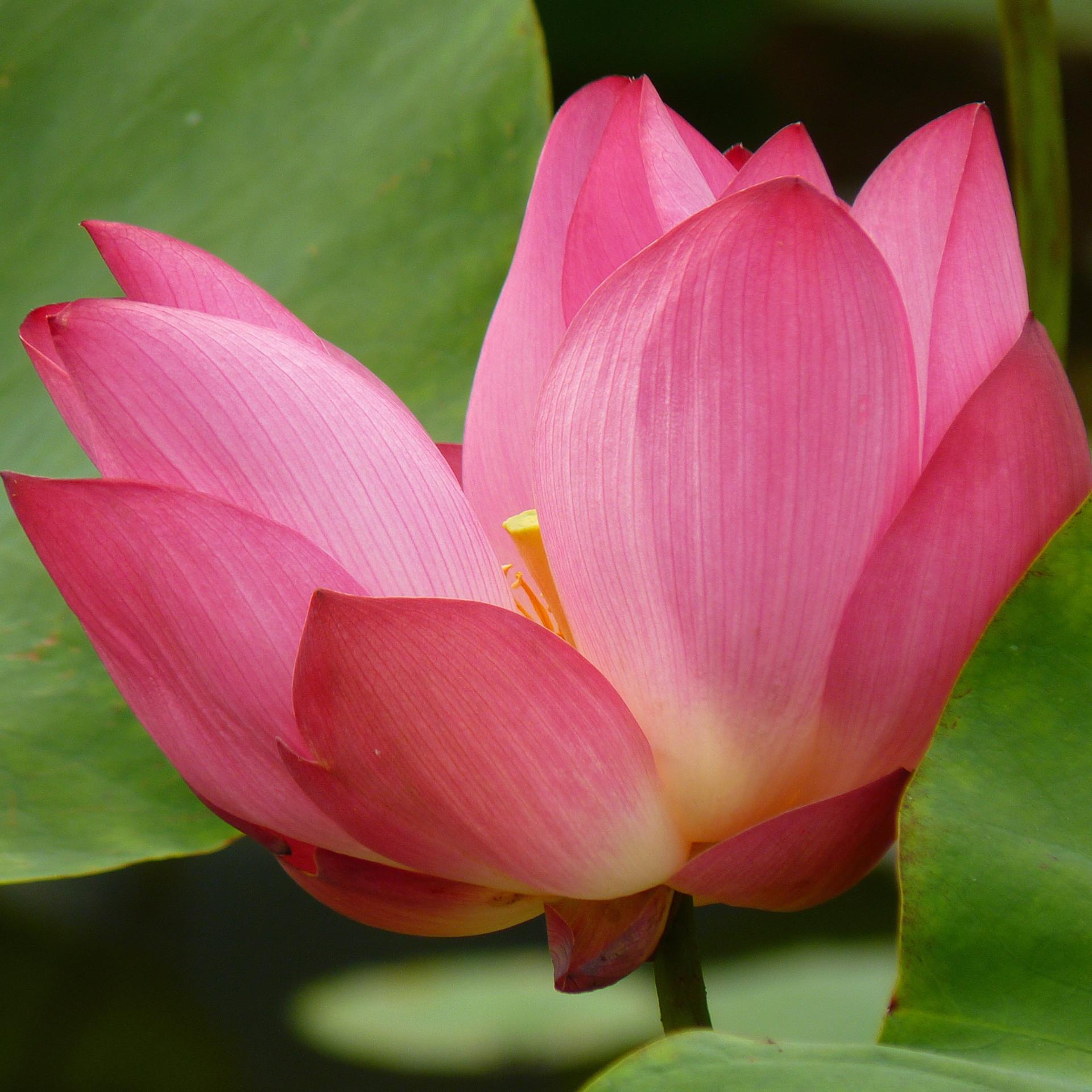blog-content-image