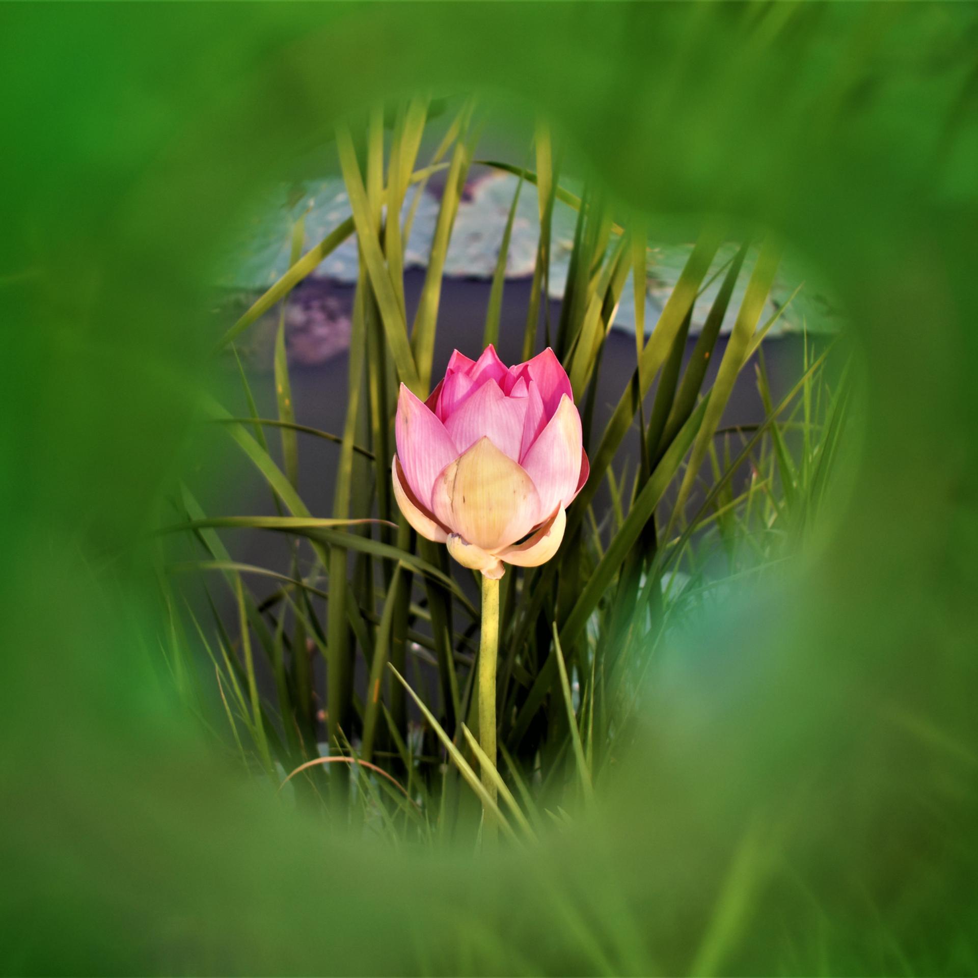 blog-content-image