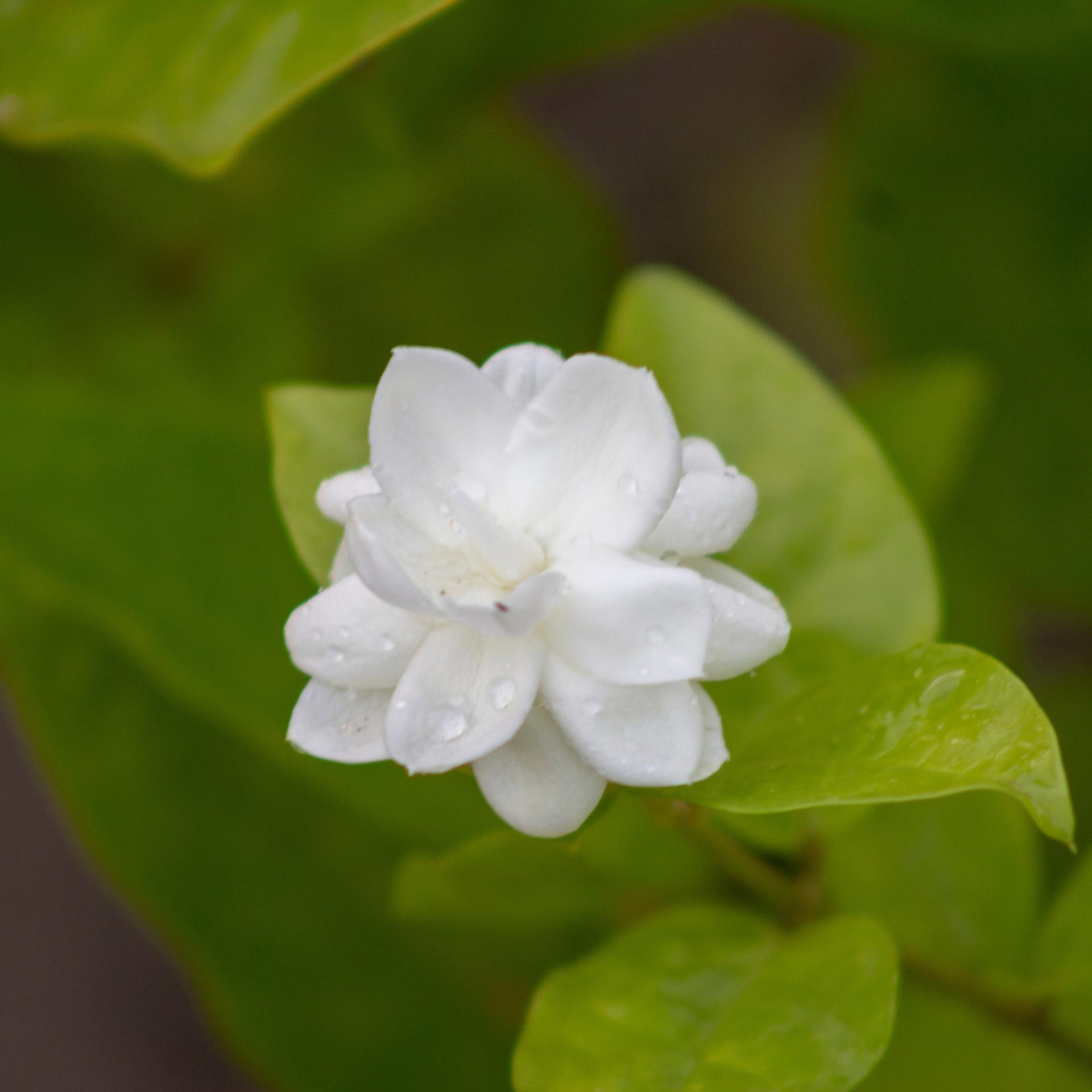blog-content-image