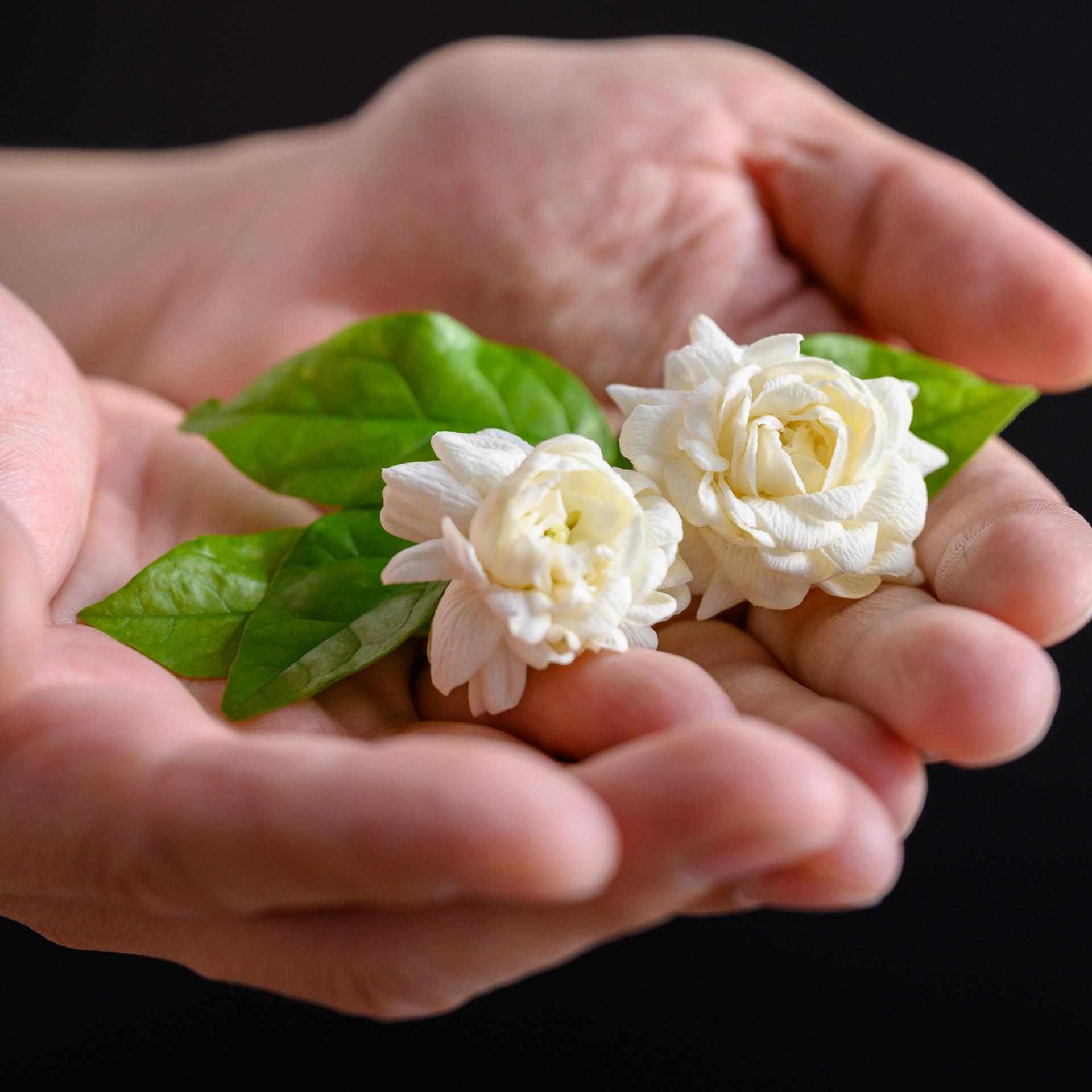 blog-content-image