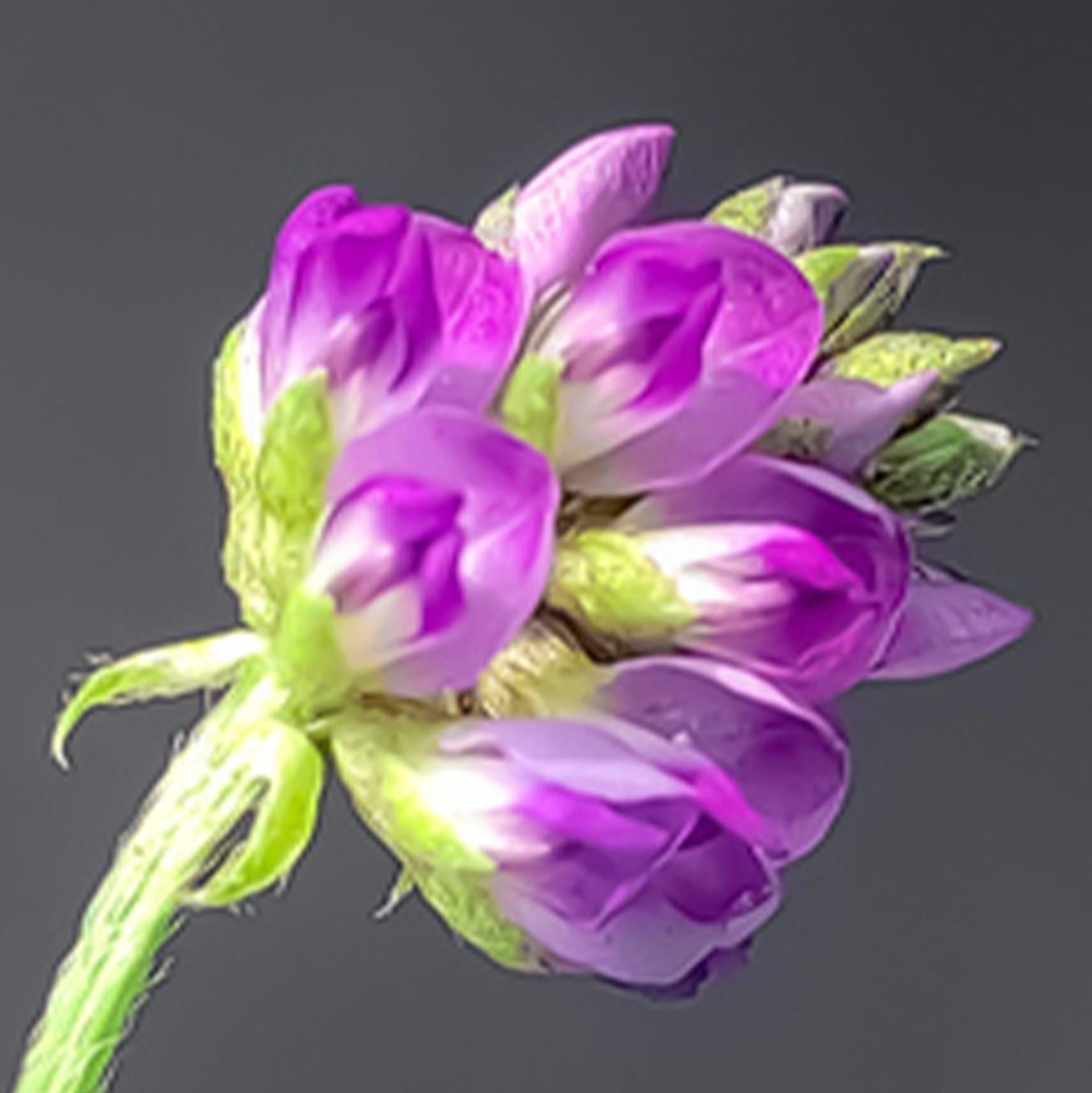 blog-content-image