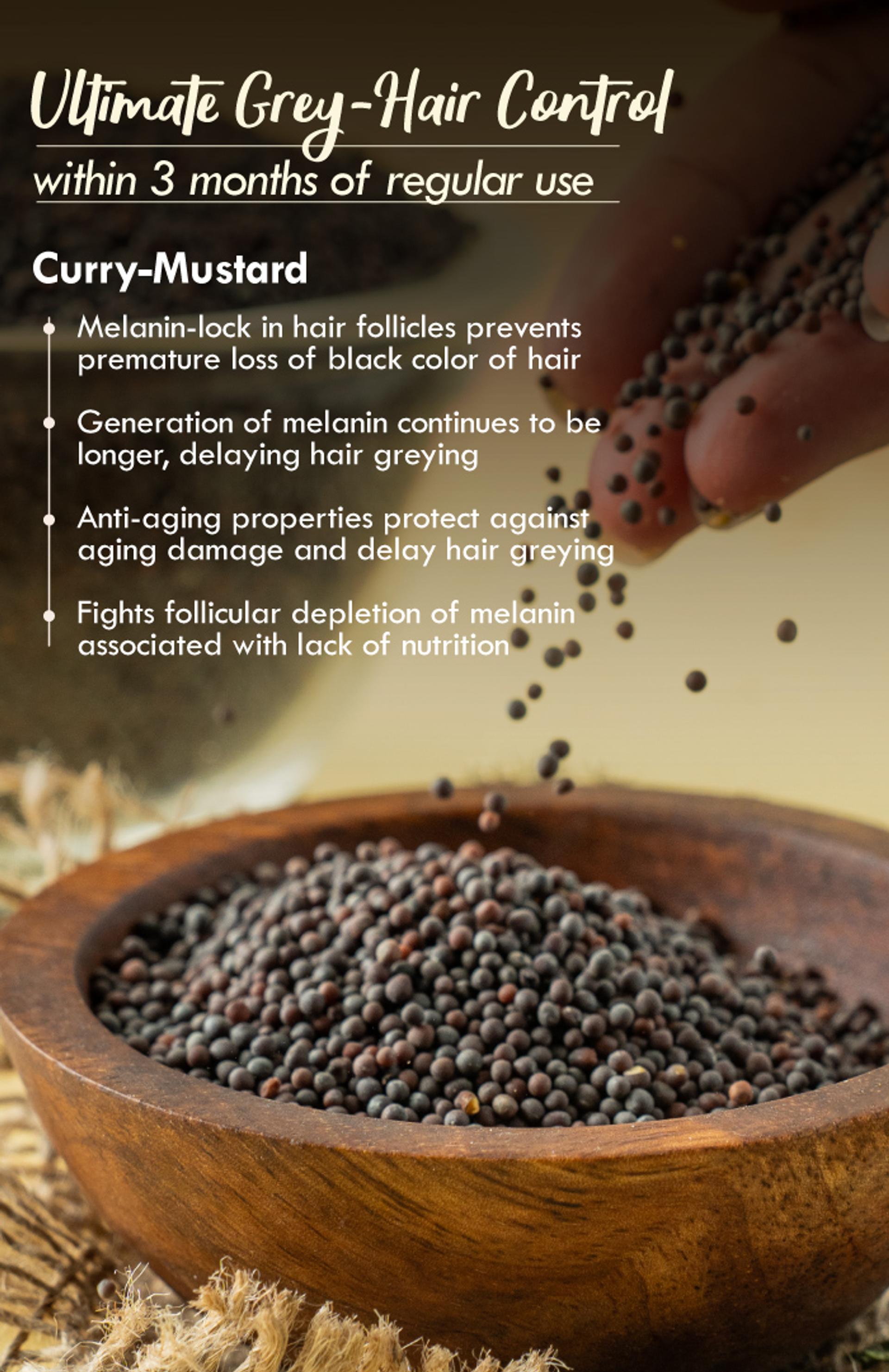 curry-mustard-03