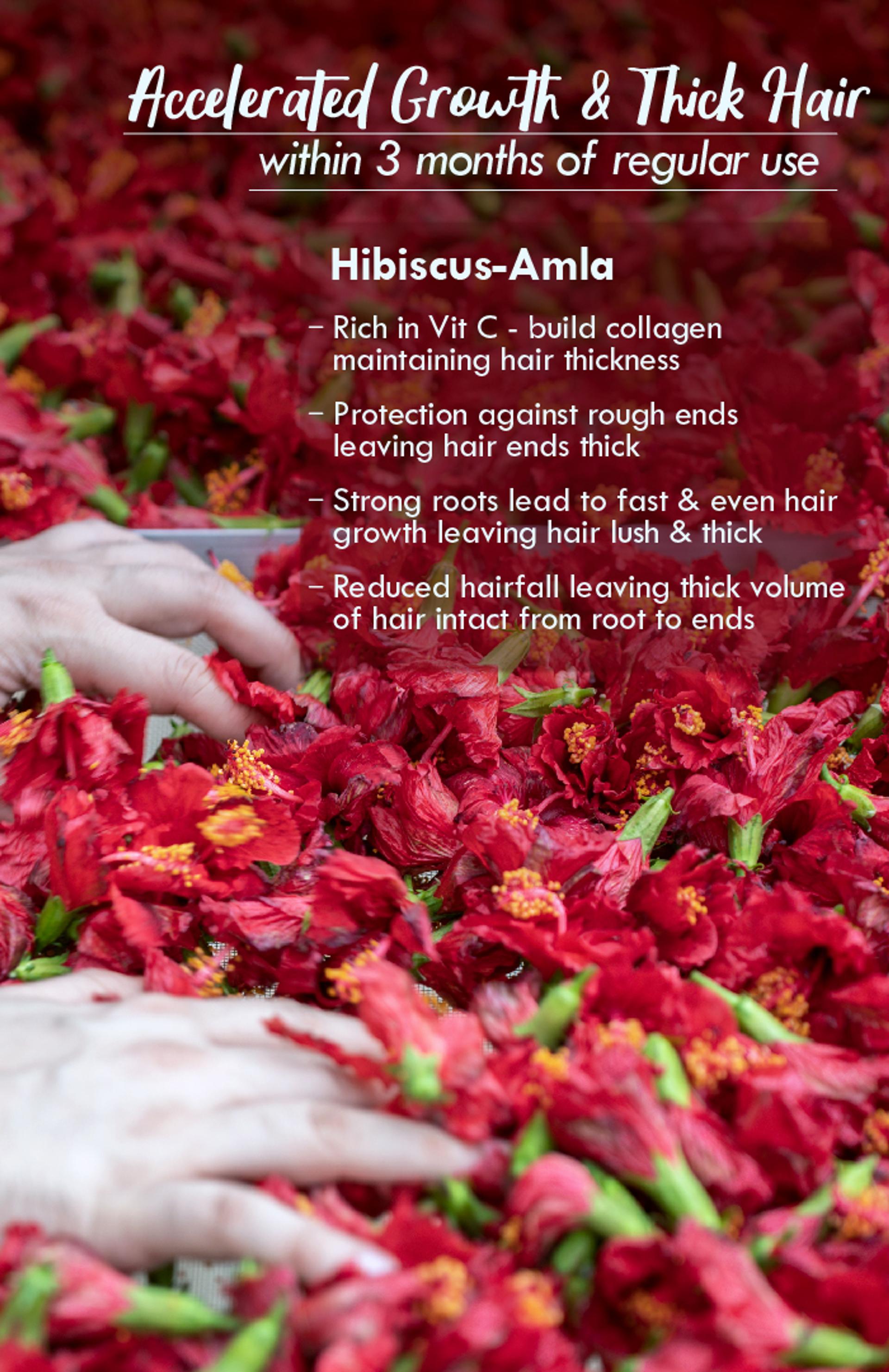 hibiscus-amla-04
