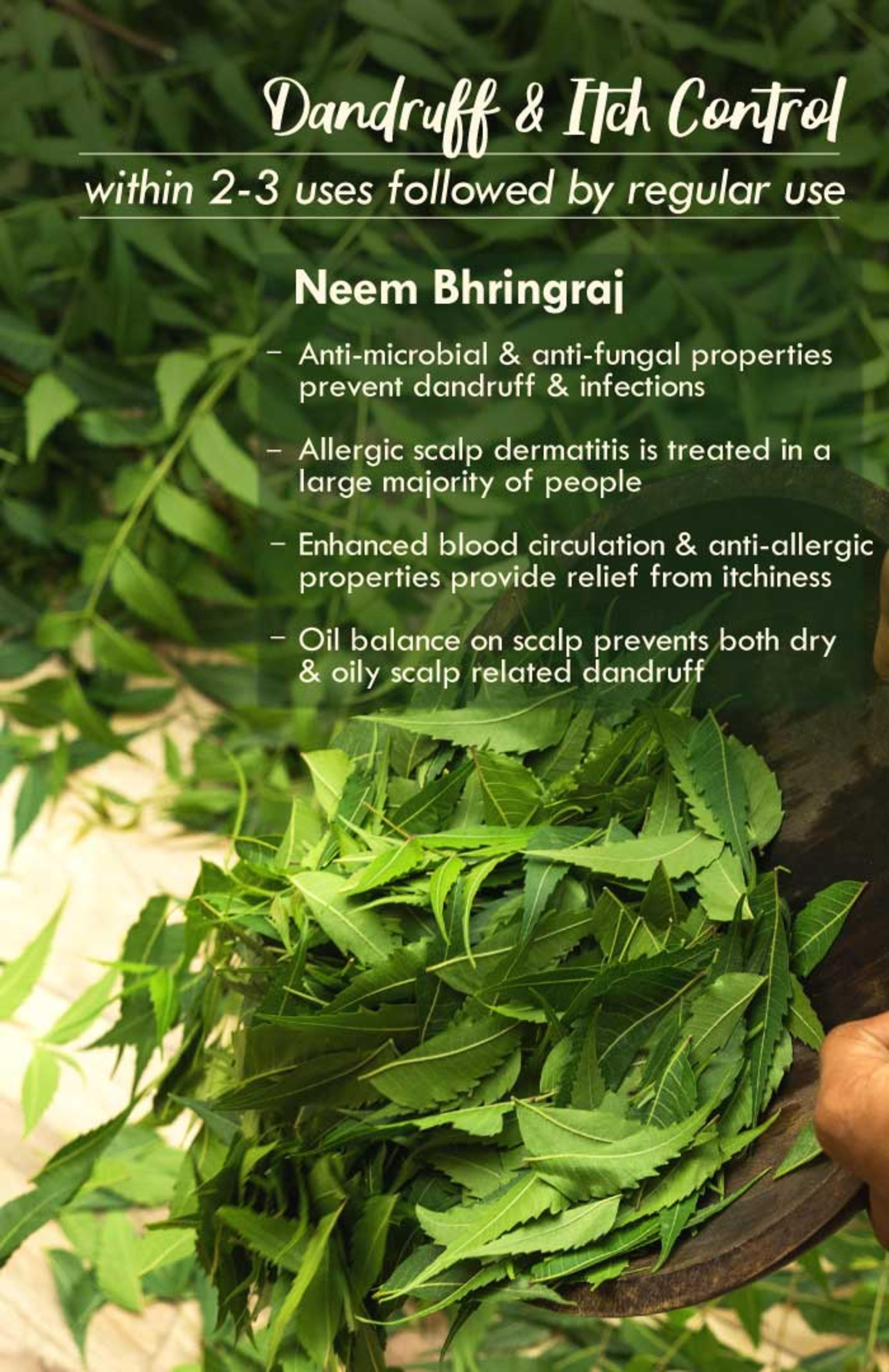 neem-bhringraj-Summer-hair-oil-4